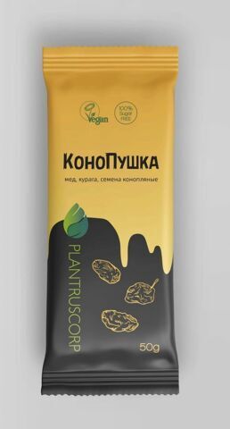 КоноПушка.JPG